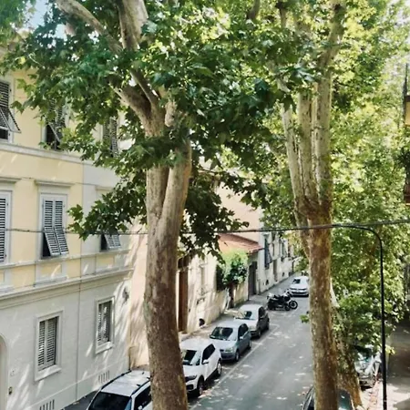 Platano By Monteverdi