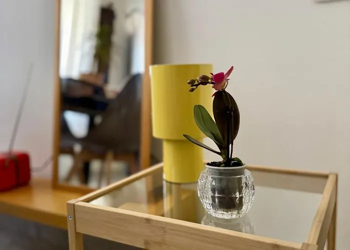 Platano By Monteverdi