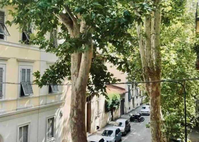 Platano By Monteverdi