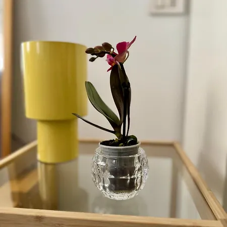 Apartamento Platano By Monteverdi